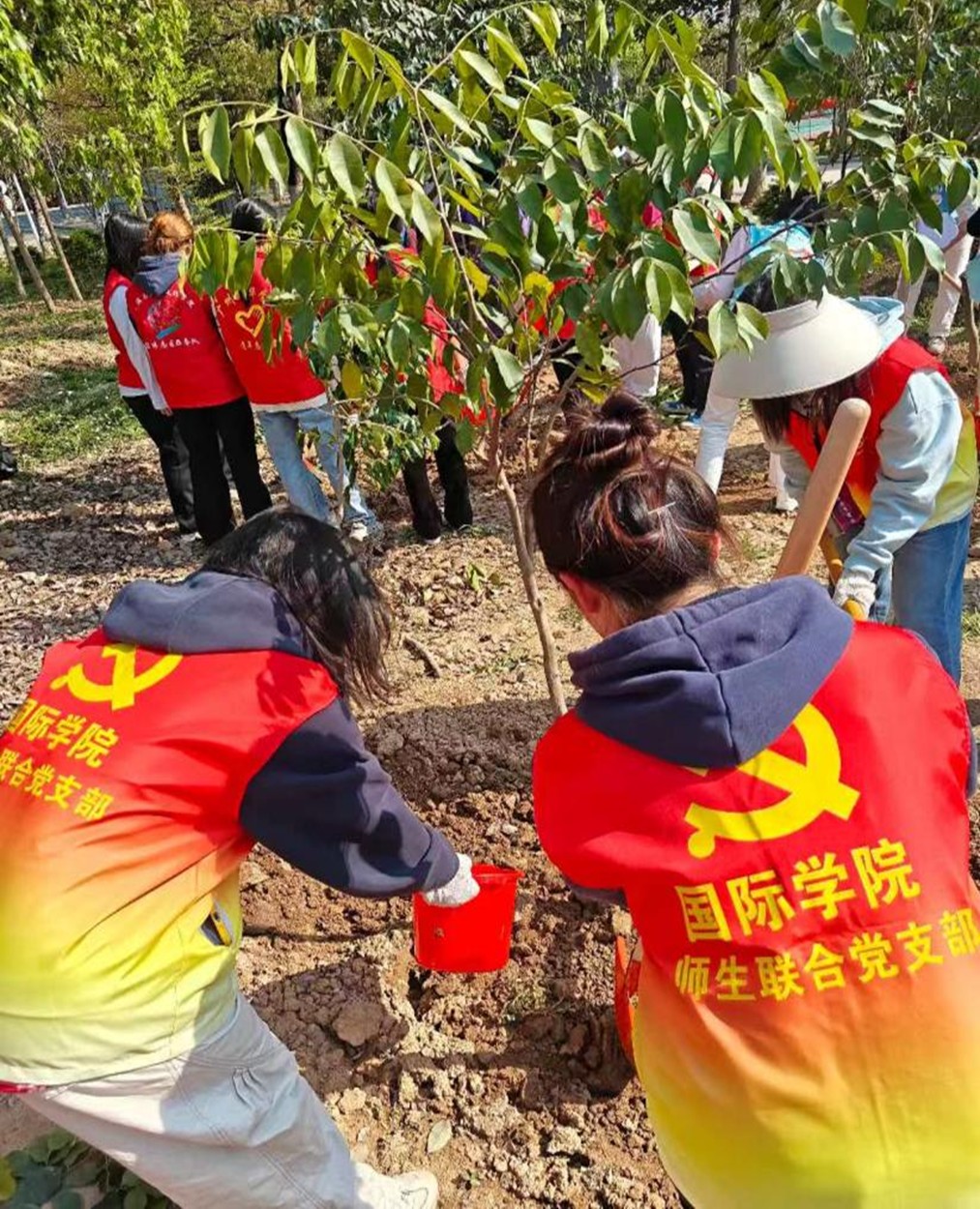 太阳成集团122ccvip
