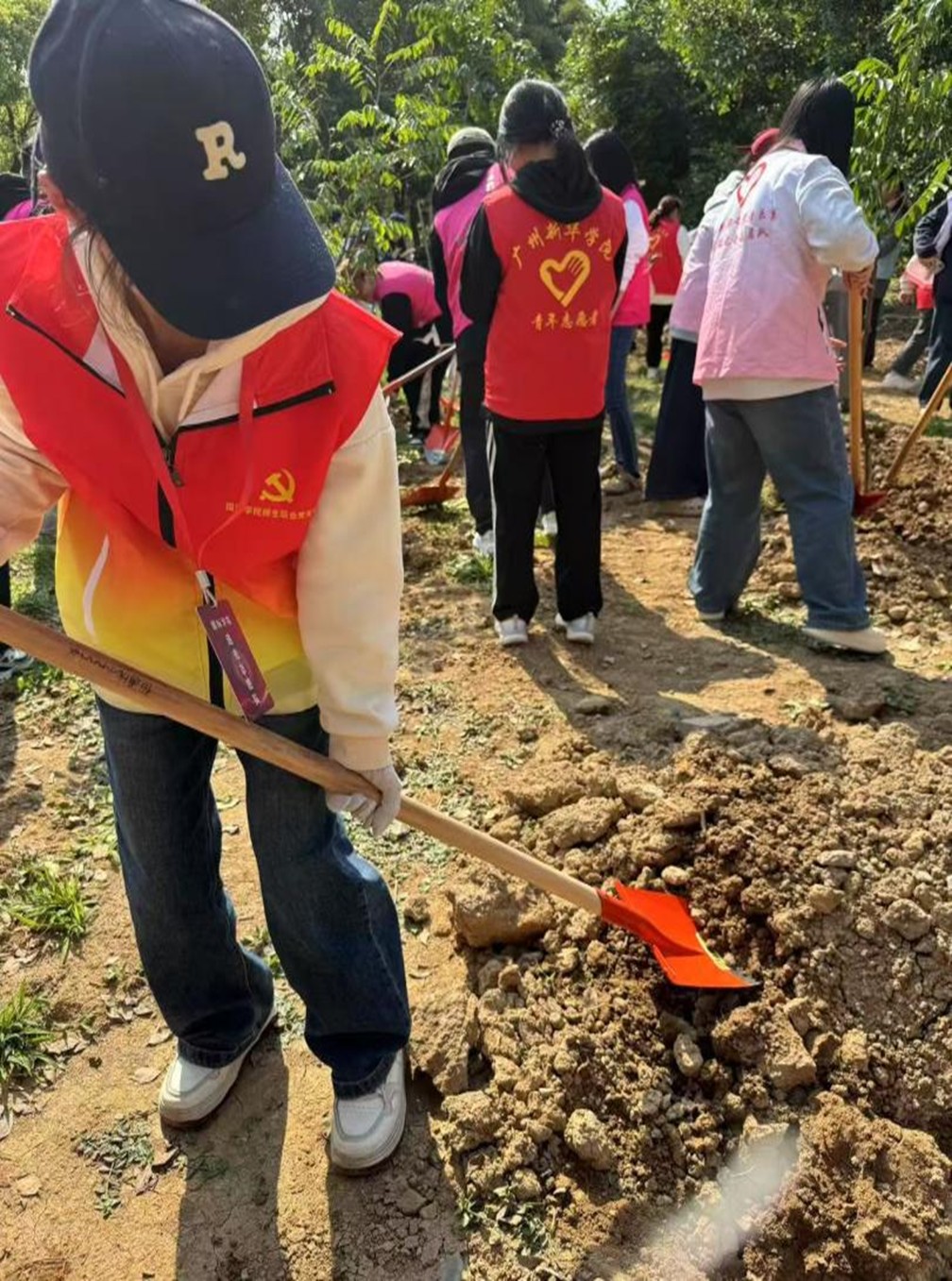 太阳成集团122ccvip